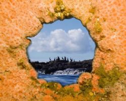 I photographed this porthole on the sunken Ruby E (80 ft)... by Dallas Poore 